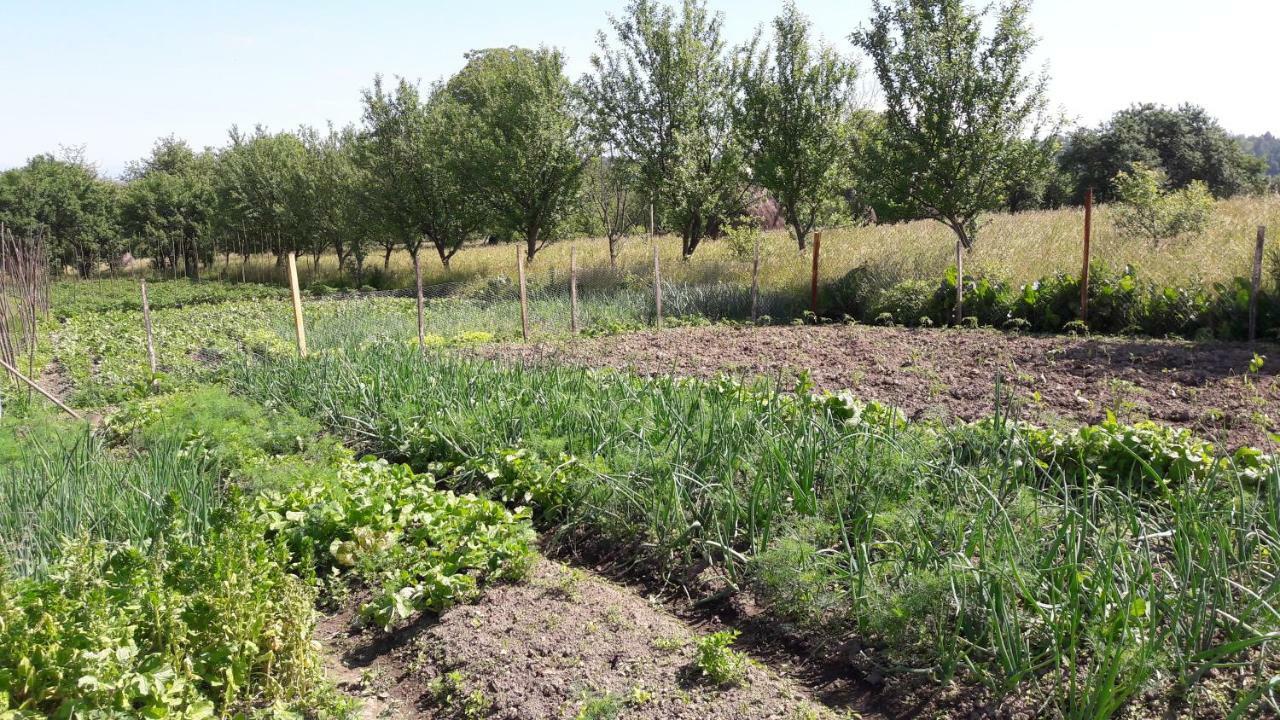 Complex Traditional Casuta Bunicilor-Breb Zewnętrze zdjęcie