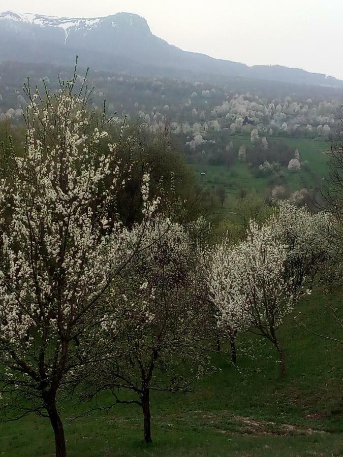 Complex Traditional Casuta Bunicilor-Breb Zewnętrze zdjęcie
