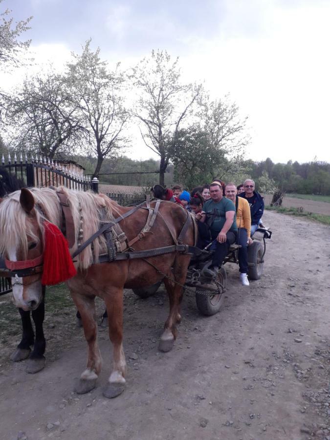 Complex Traditional Casuta Bunicilor-Breb Zewnętrze zdjęcie